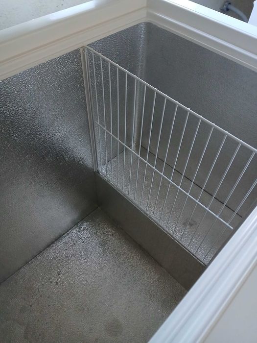 Arca frigorífica grande