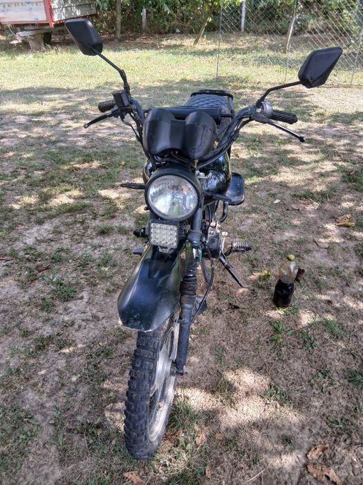Musstang Dingo 125