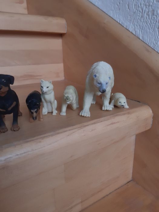 Фігурки тварин Safari, k&m