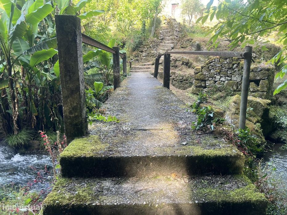 Vende Quinta Termas São Vicente Penafiel