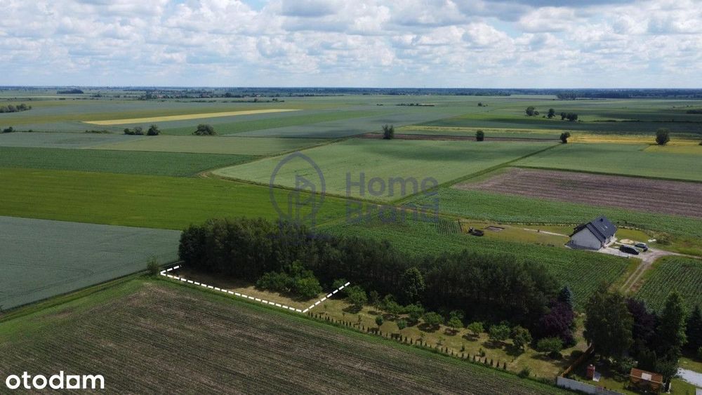 Działka budowlana 15 a | Pławna - Widok 2