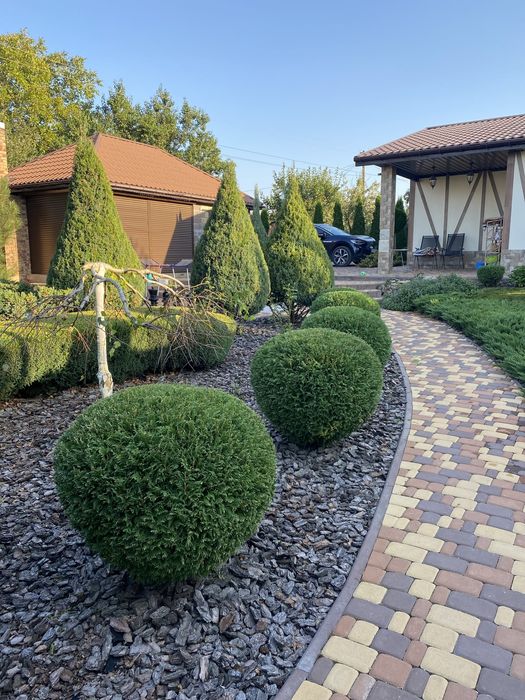 Услуги по озеленению ,ландшафтный дизайн,уход за участком