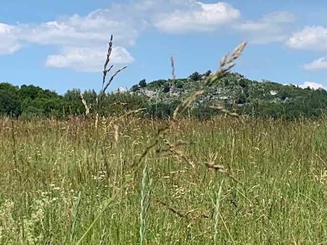 Domki letniskowe Jurajska Zagroda Podlesice