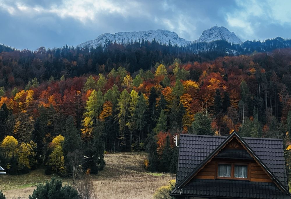 Willa Bachledówka pokoje/noclegi Zakopane