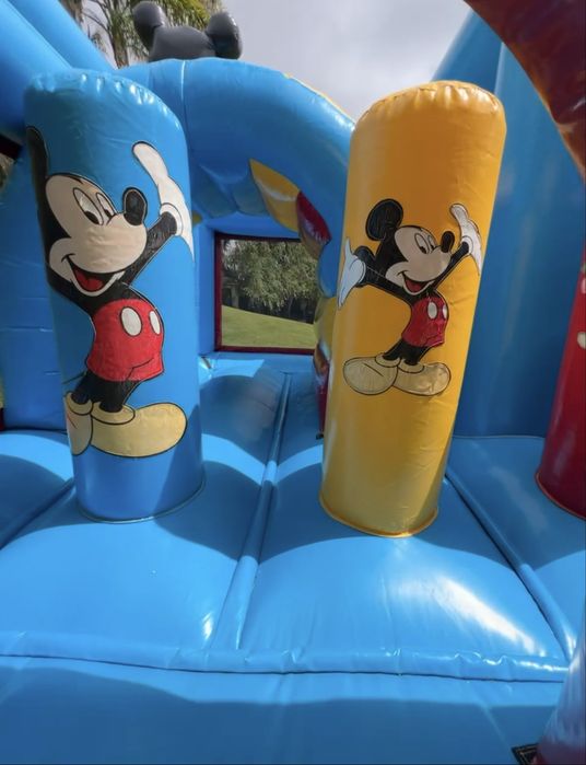 Insuflavel profissional Tema - Mickey