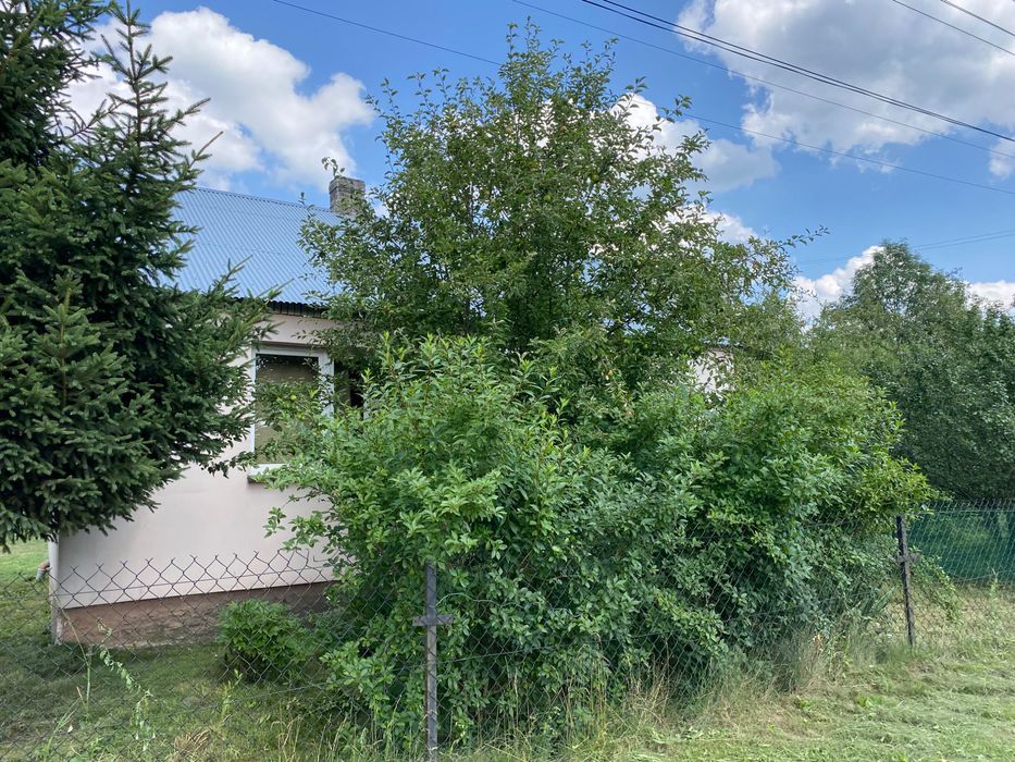 Sprzedam siedlisko (dom ,ziemia)
