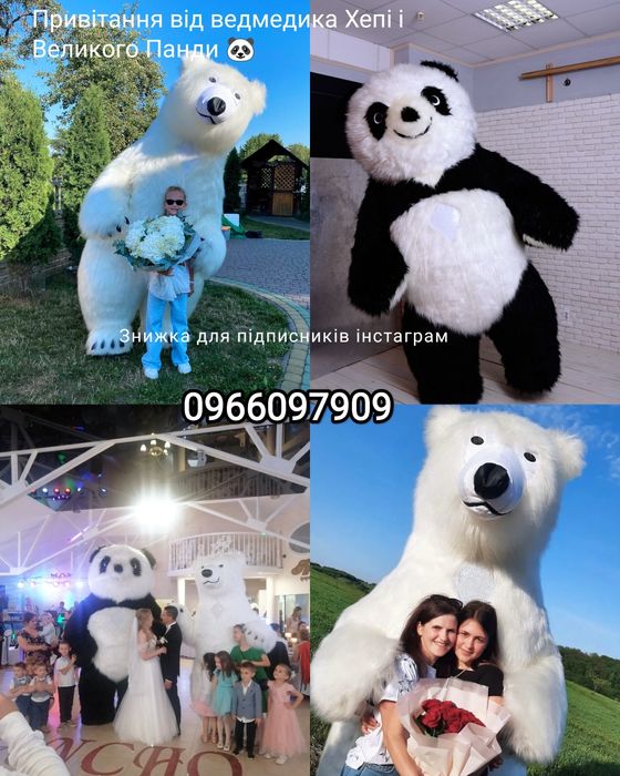 Аніматор білий ведмідь Хепі та великий Панда. Аніматори Коломия