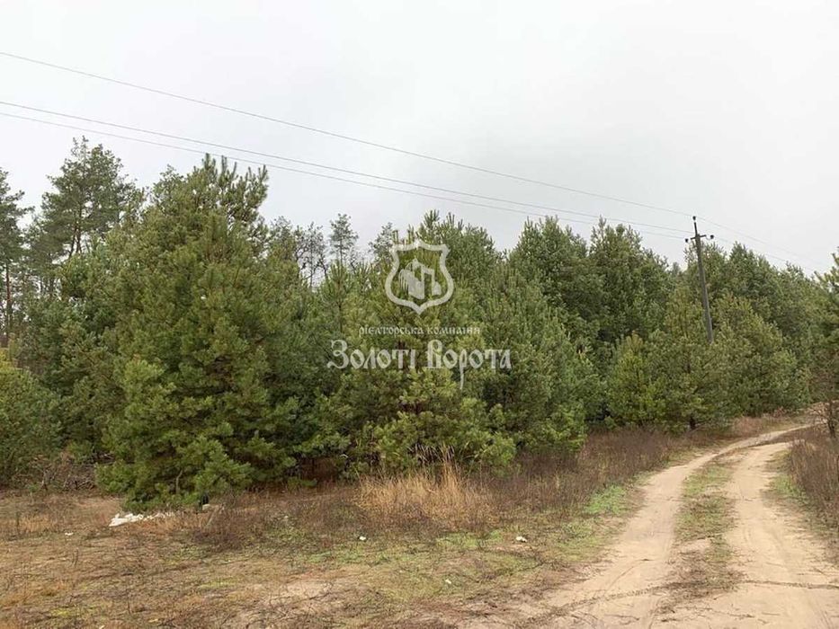 Ділянка під забудову, 20 га. Дзвінкове, Плесецьке, Васильківський р-н