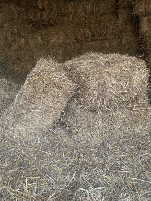 Продам тюки соломи