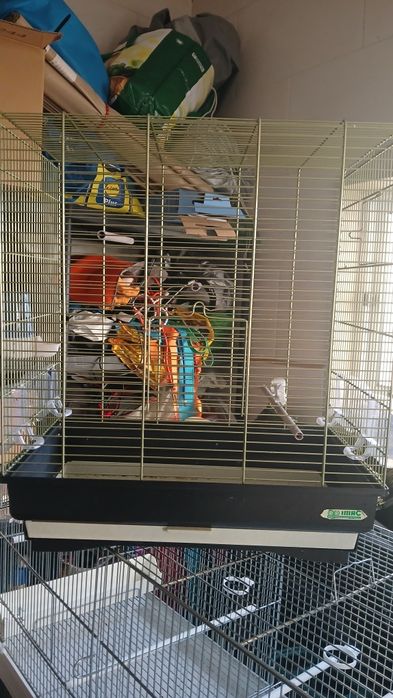 Gaiola IMAC excelente estado