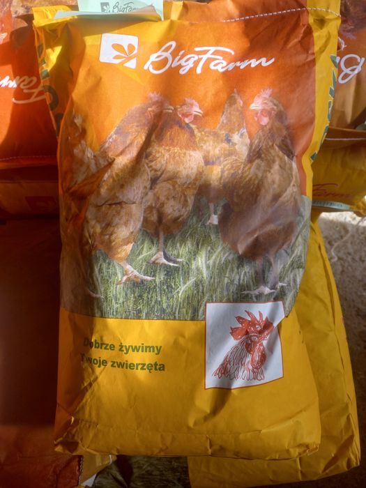 Pasza dla kur niosek 10kg