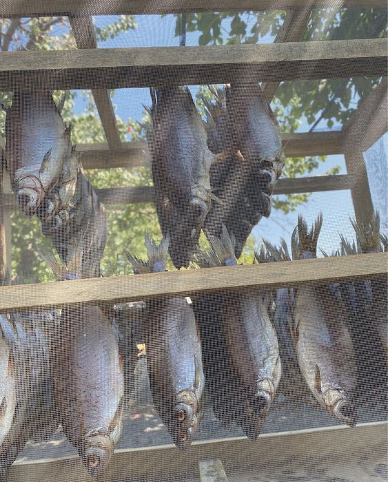 Ікряна тарань плотва сушена в’ялена