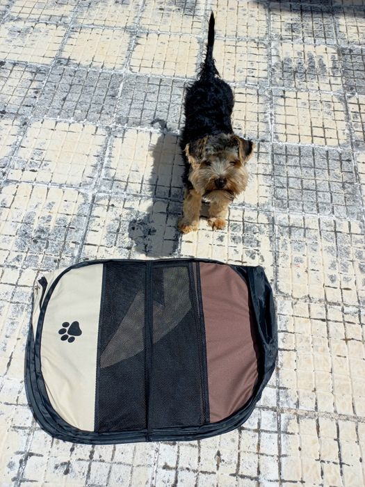 Parque/Casota para Cachorro ou Cão de pequeno porte 80»39€