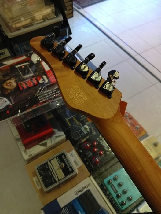 Schecter Standard BK Fade Burst Burl