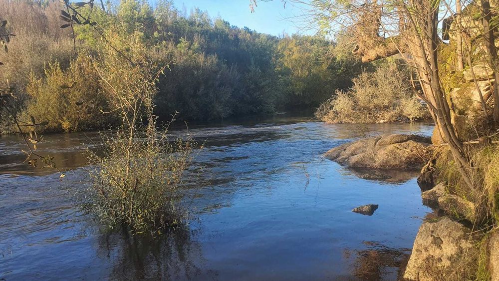 Propriedade com 6ha à Beira do Rio Mondego