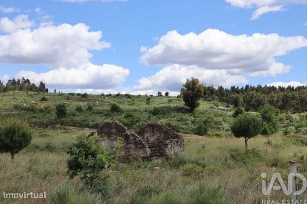 Terreno para construção em Seixo da Beira de 48000,00 m2
