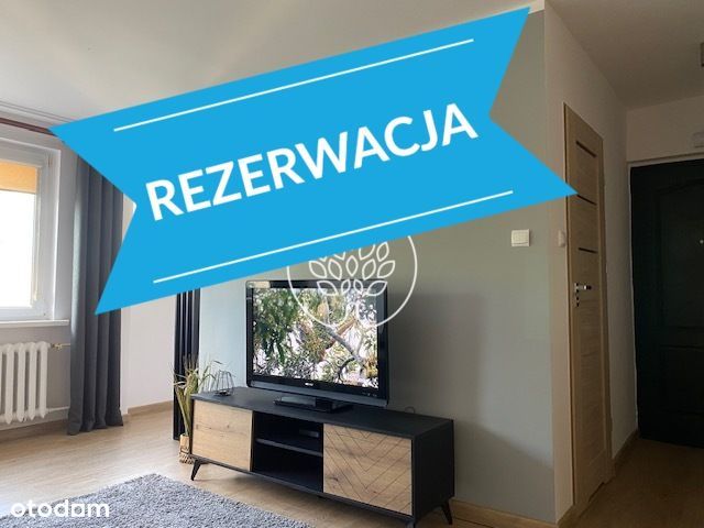 Przytulna kawalerka blisko UMK od października