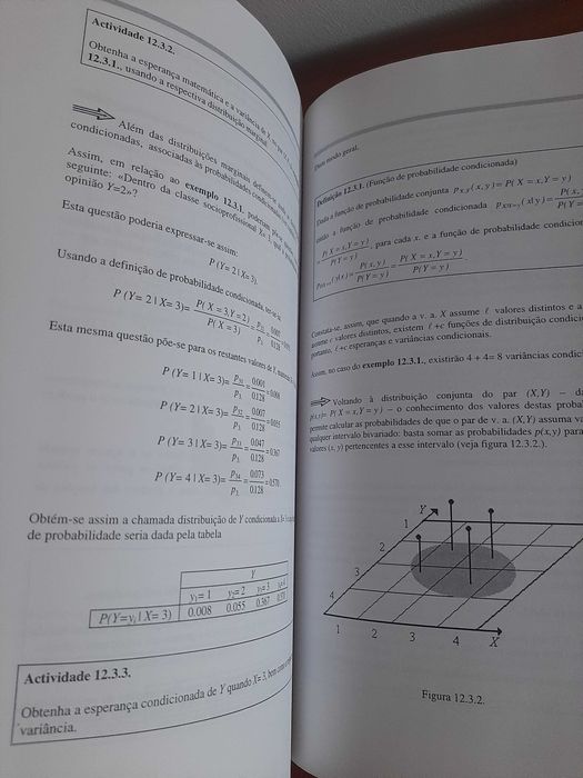 Livro Elementos de Probabilidades e Estatística
