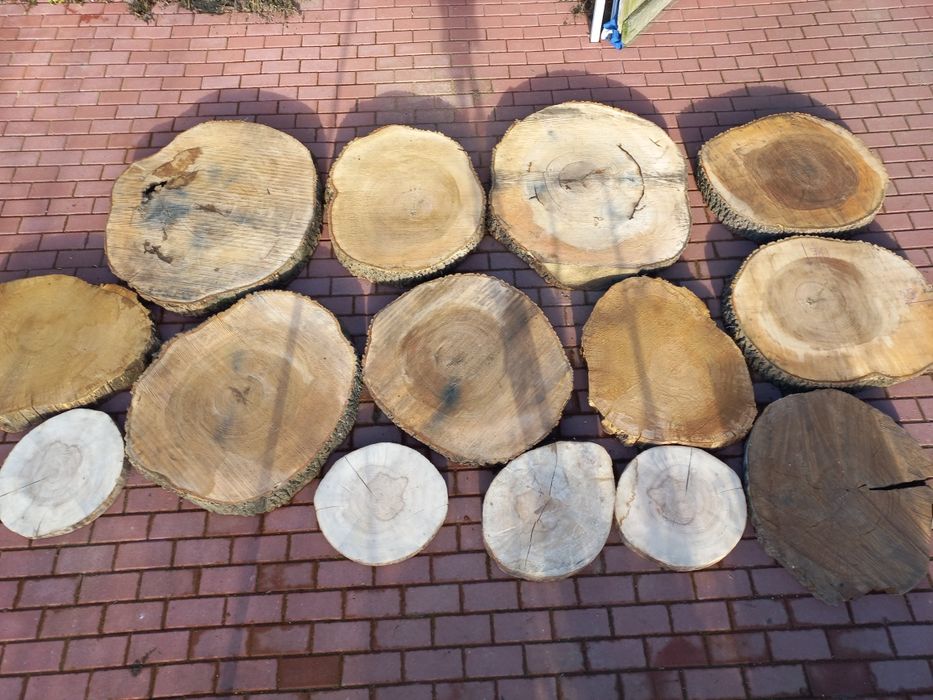 Plaster drewna duże splanowane