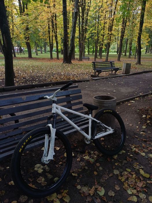 DC Pussy 2007 - Street / Dirt MTB