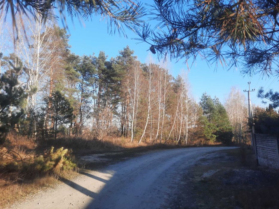Генеральські озера, від 7 соток зі своїм лісом віком 80 років, ідеал для забудови, електрика, газ, котеджне містечко - Вид 4