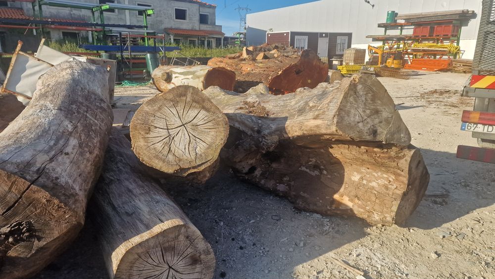 Lote de troncos paus para tampos de mesas rusticas carvalho cedro euca