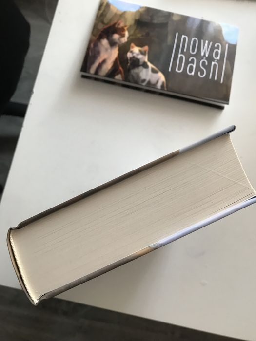 Wojownicy erin hunter przeznaczenie klanu nieba