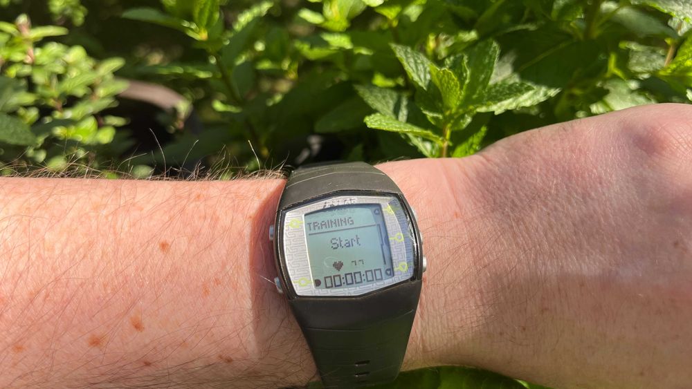 Sportowy Polar FT40 z bezprzewodową sondą WearLink - pulsometr