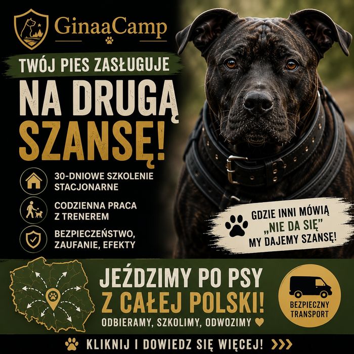 Behawiorysta i szkolenie psa z pobytem | AGRESJA , Lęk i inne | GinaaCamp | Cała Polska