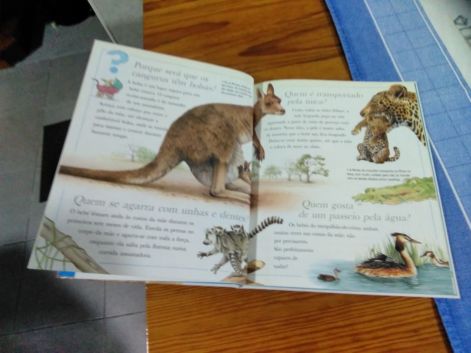 Livro - Porque será...