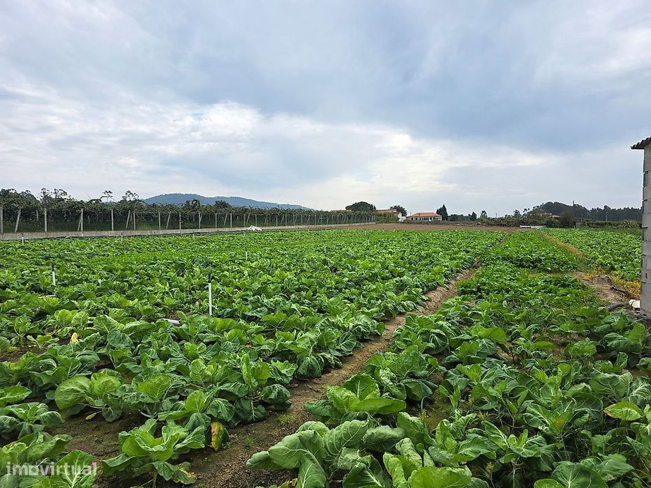 Terreno  para venda