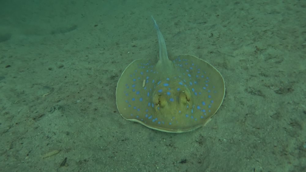 Kamerka GoPro Hero z akcesoriami