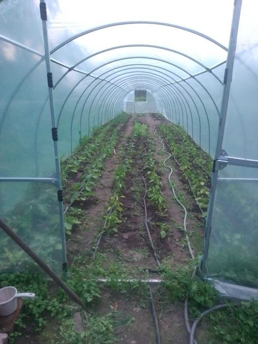 Теплиця з плівкою ширина 3метри парник каркас Александрия