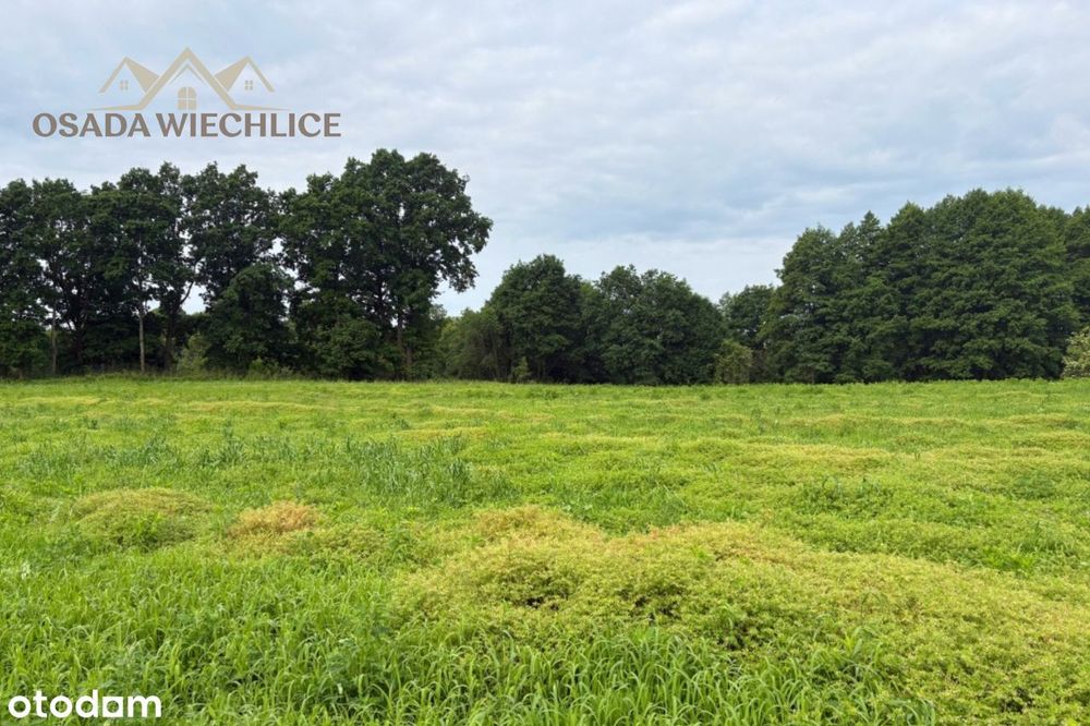 Sprzedaż działek budowlanych - Osada Wiechlice