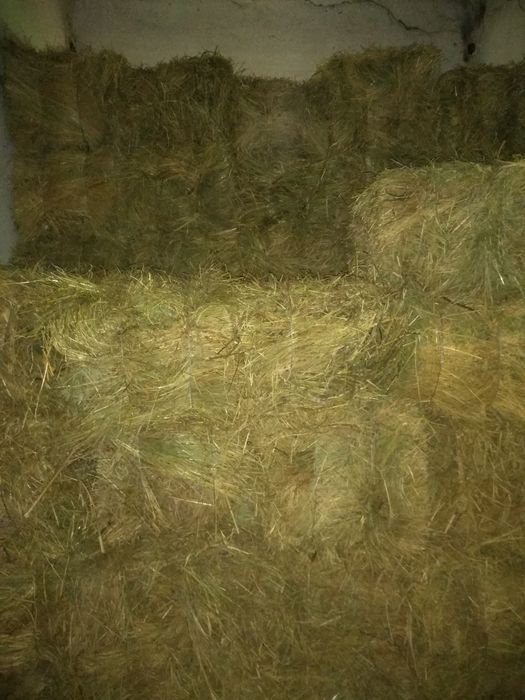 Сіно в тюках лугове