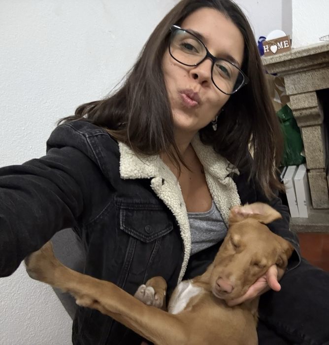 Tomar conta/ Passeio de caẽs. Dog walking. Petsitting. Pet care