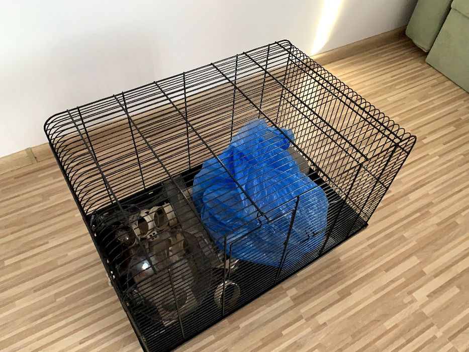 Sprzedam klatkę dla chomika/świnki morskiej, 58x38x43