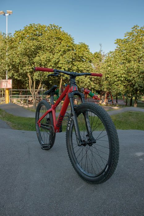 Sprzedam rose the Bruce 1