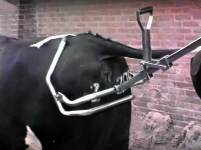 Wycielacz VINK ze zmiennym lub stałym naciągiem-przyrząd porodowy