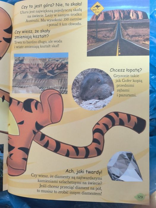 Kubuś Puchatek -moja pierwsza encyklopedia