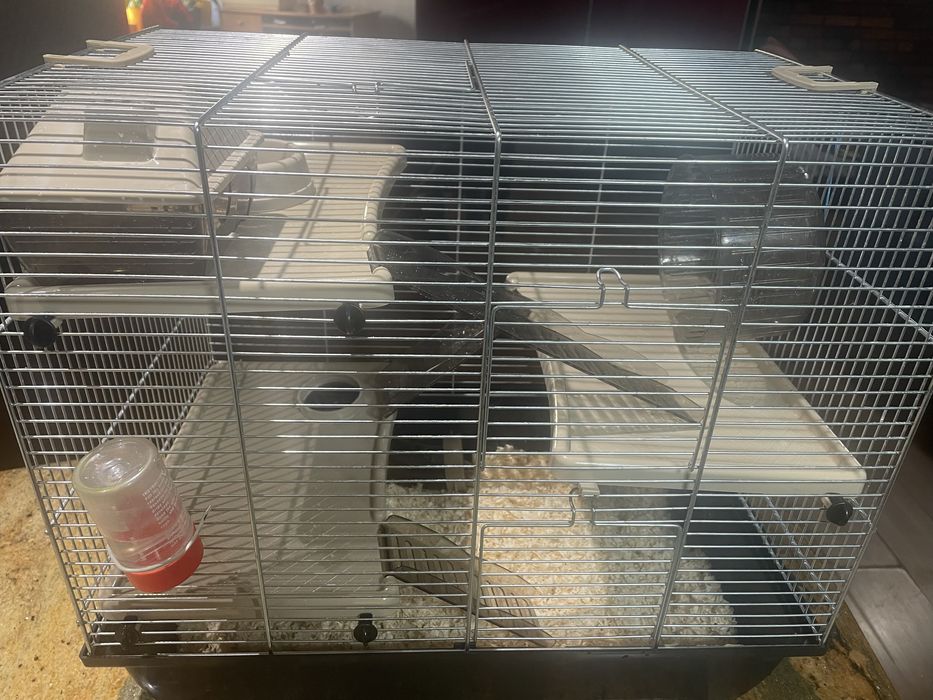 Sprzedam Chomika z klatkà