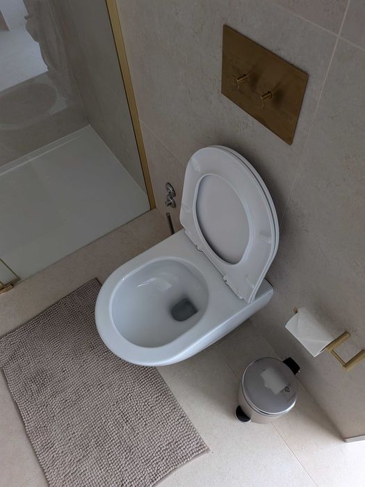 Sanitas OLI Lake suspensa