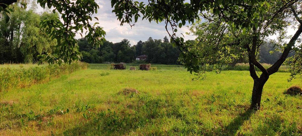 Орендуй і відпочивай: рибалка, інвертор 4кВт, генератор і краєвиди