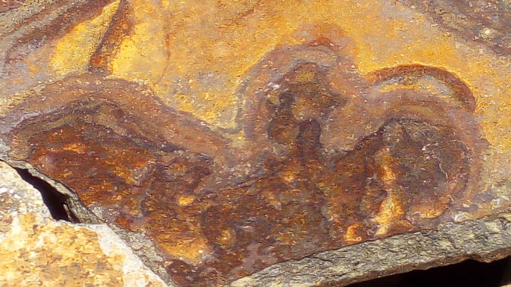 Камінь облицювальний 1-3см