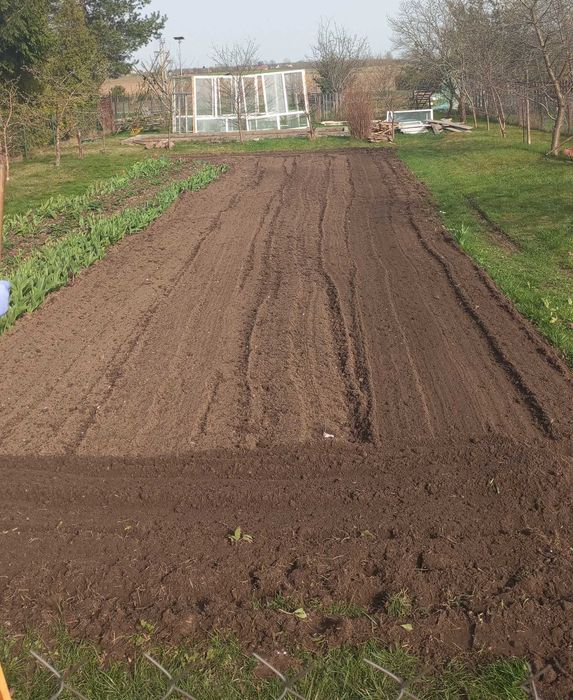 Glebogryzarka pług wózek traktorek Holder E14 Dzik C-308