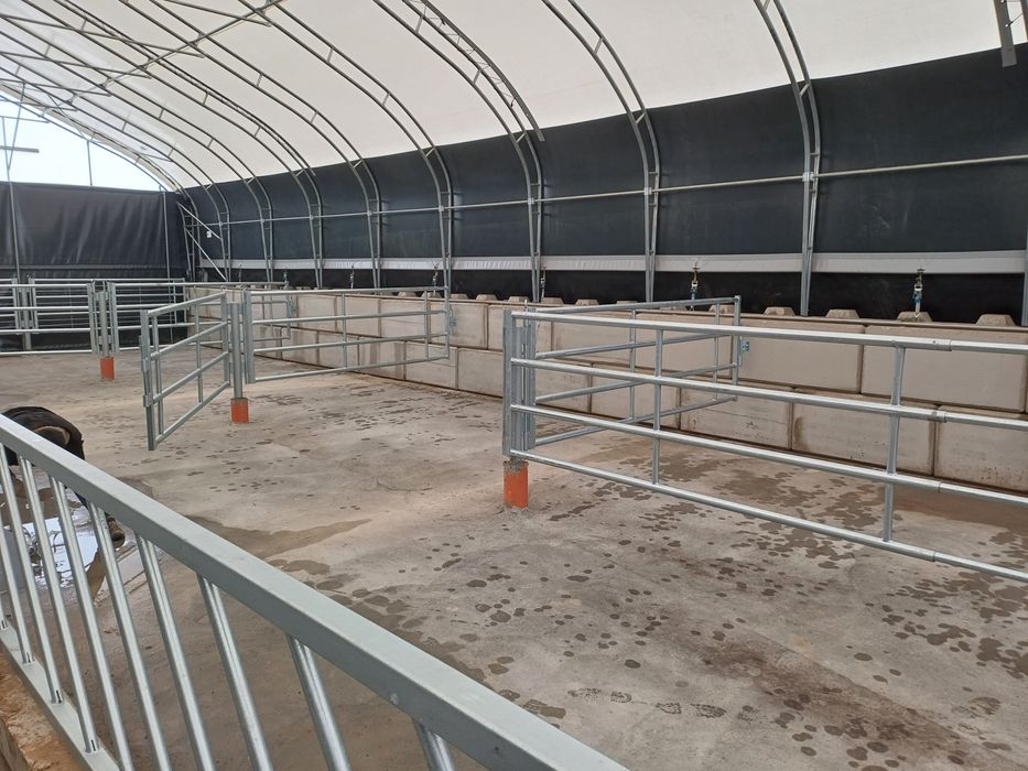 Drabiny kojec dla bydła