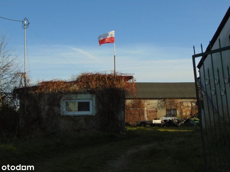 Siedlisko Wąpielsk!!!