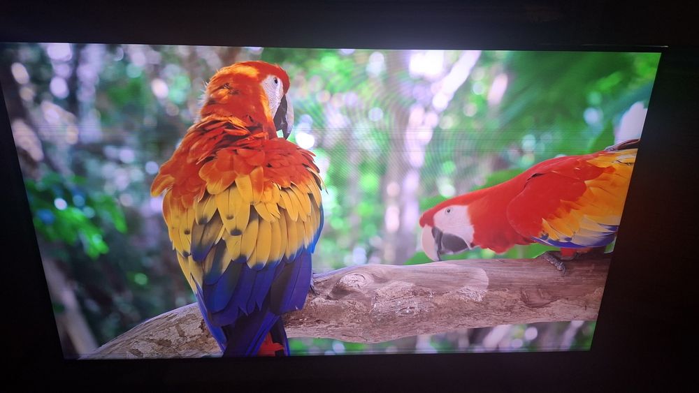 Telewizor Samsung QLED 50"Smart4K UHD