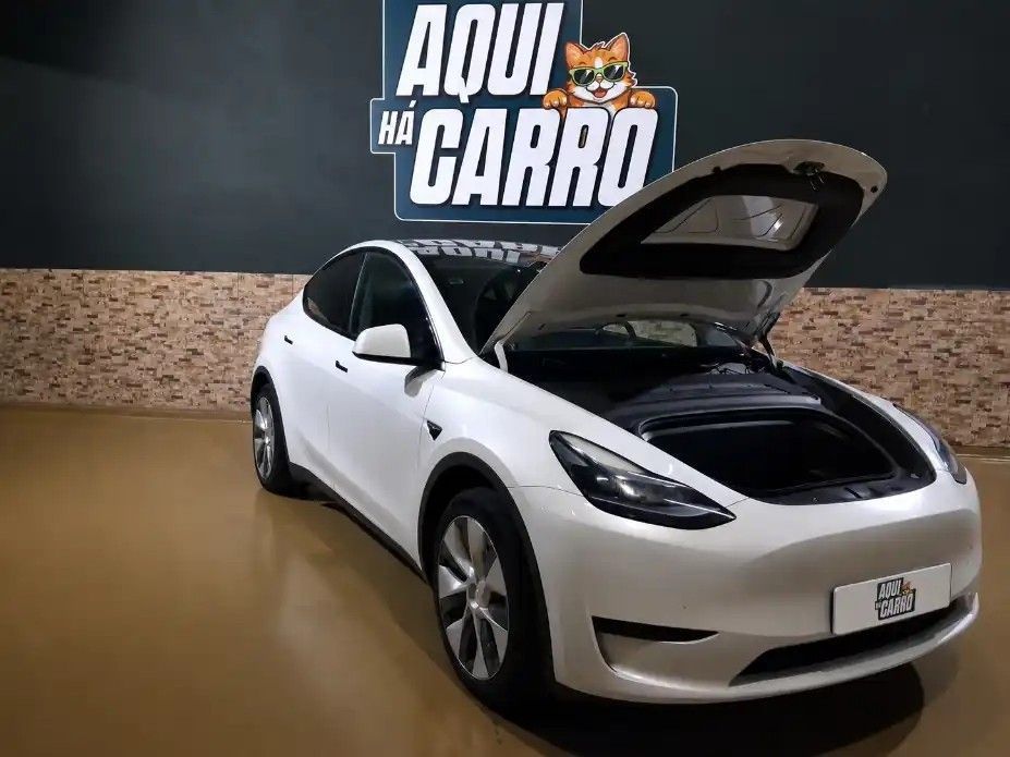 Tesla Model Y485908660849233925