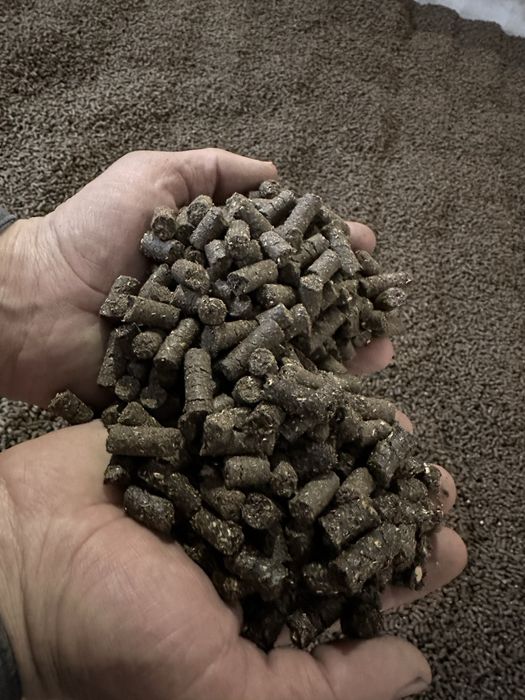 Паливні пілети та брекети